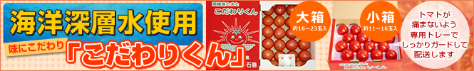 肭