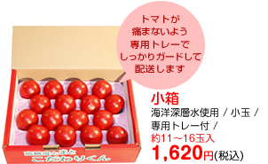 1kg